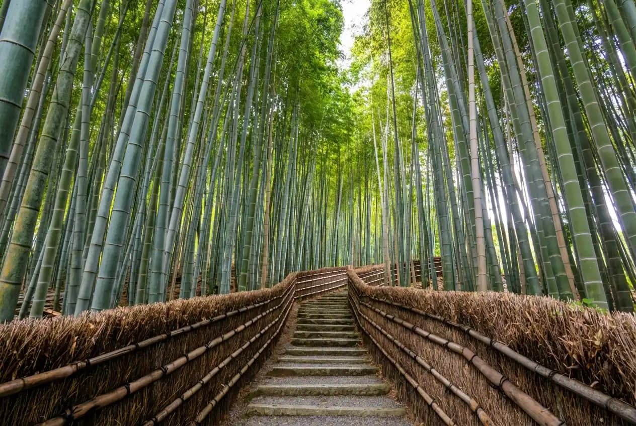 bosque-de-bambu templo Adashino Nenbutsu-ji