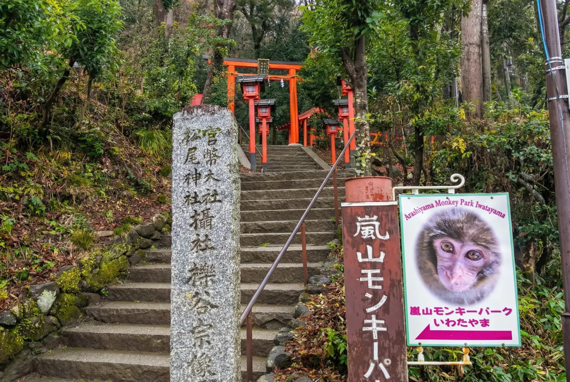 Iwatayama Monkey Park