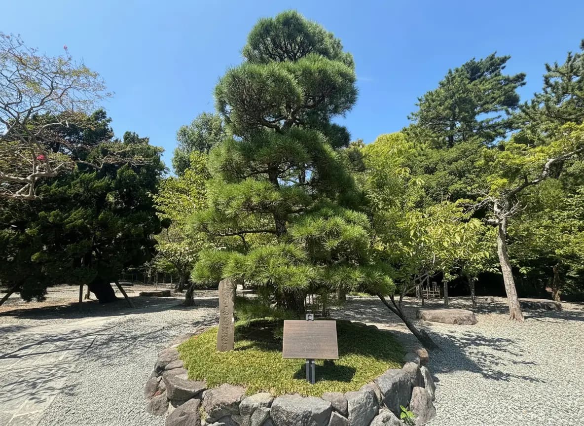 Jardines y entorno natural