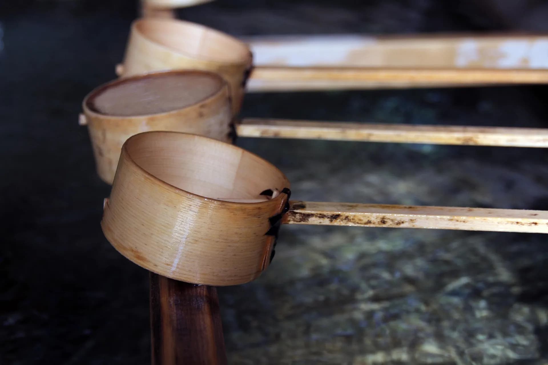 monicavolpin-chozuya-3391699_1920