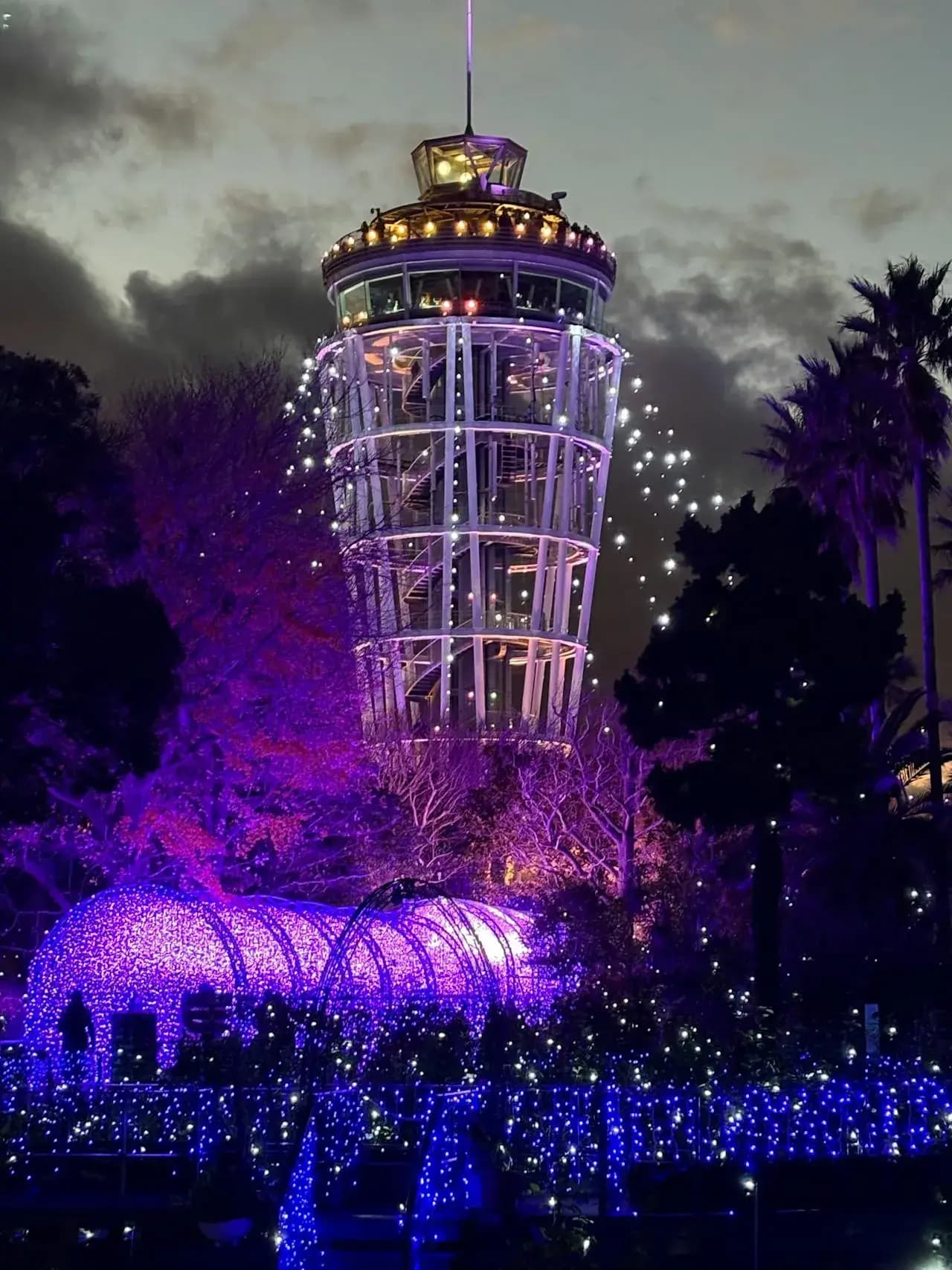 pexels-107469371-35160003