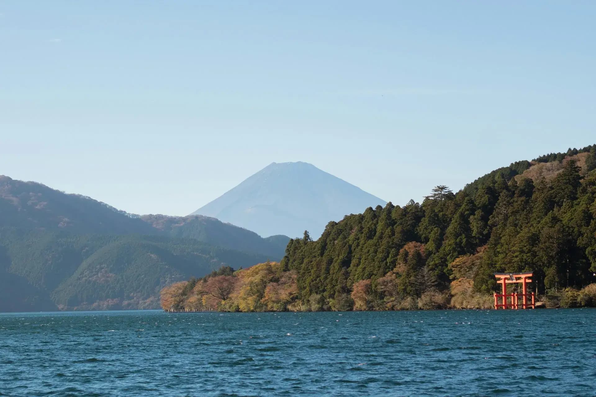 pexels-valeria-gutierrez-455901195-31257039