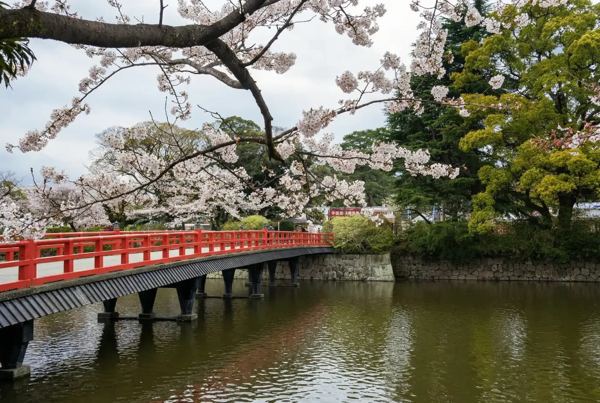 puente castillo odawara