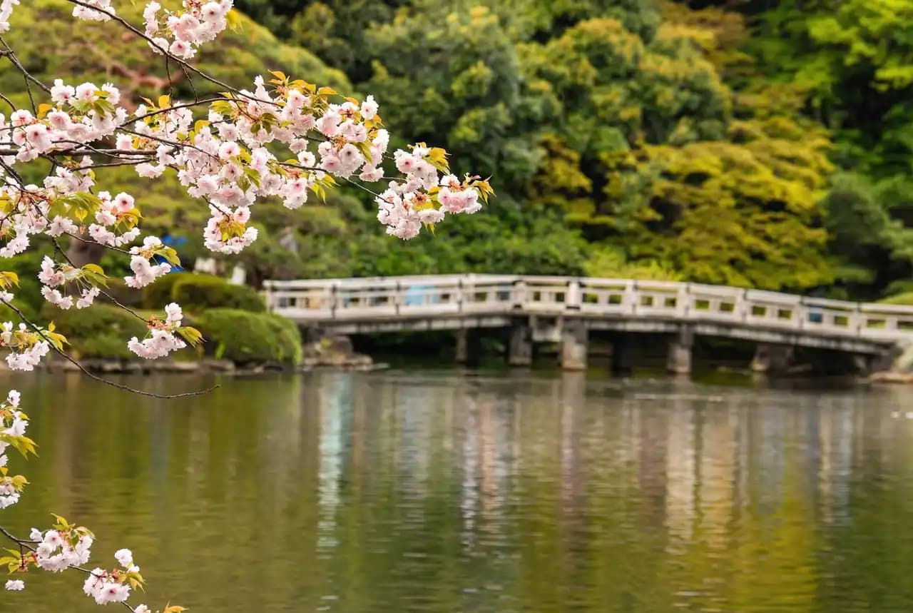 Shinjuku Gyoen