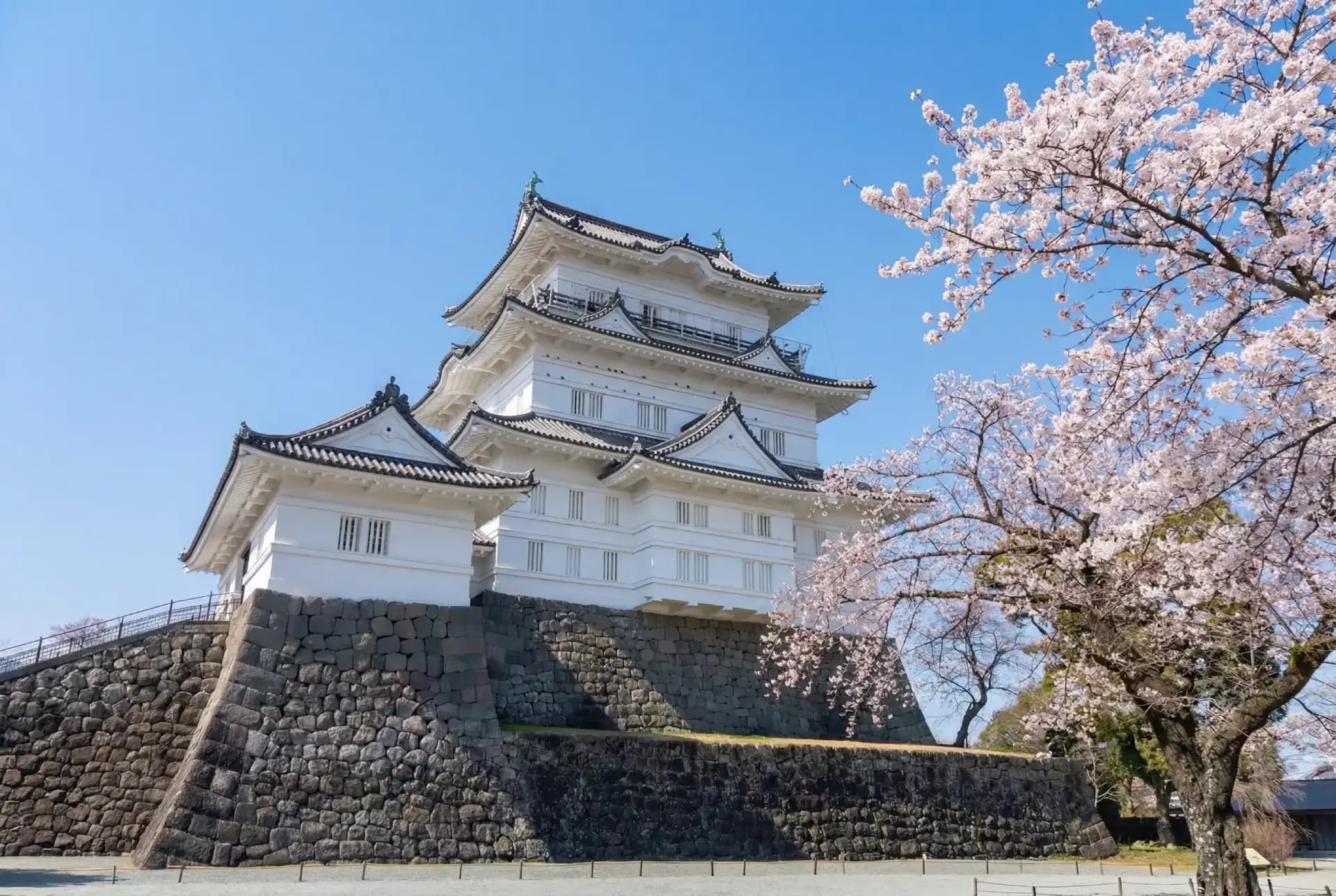castillo odawara plaza