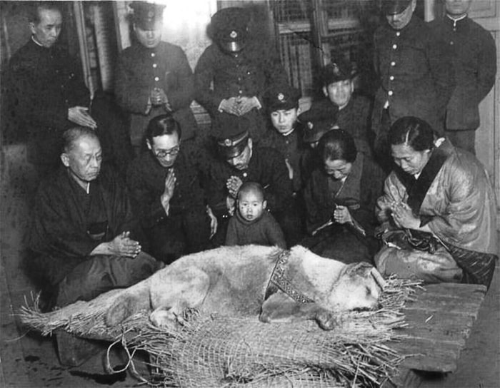 Death_of_Hachiko_-_Last_Photo