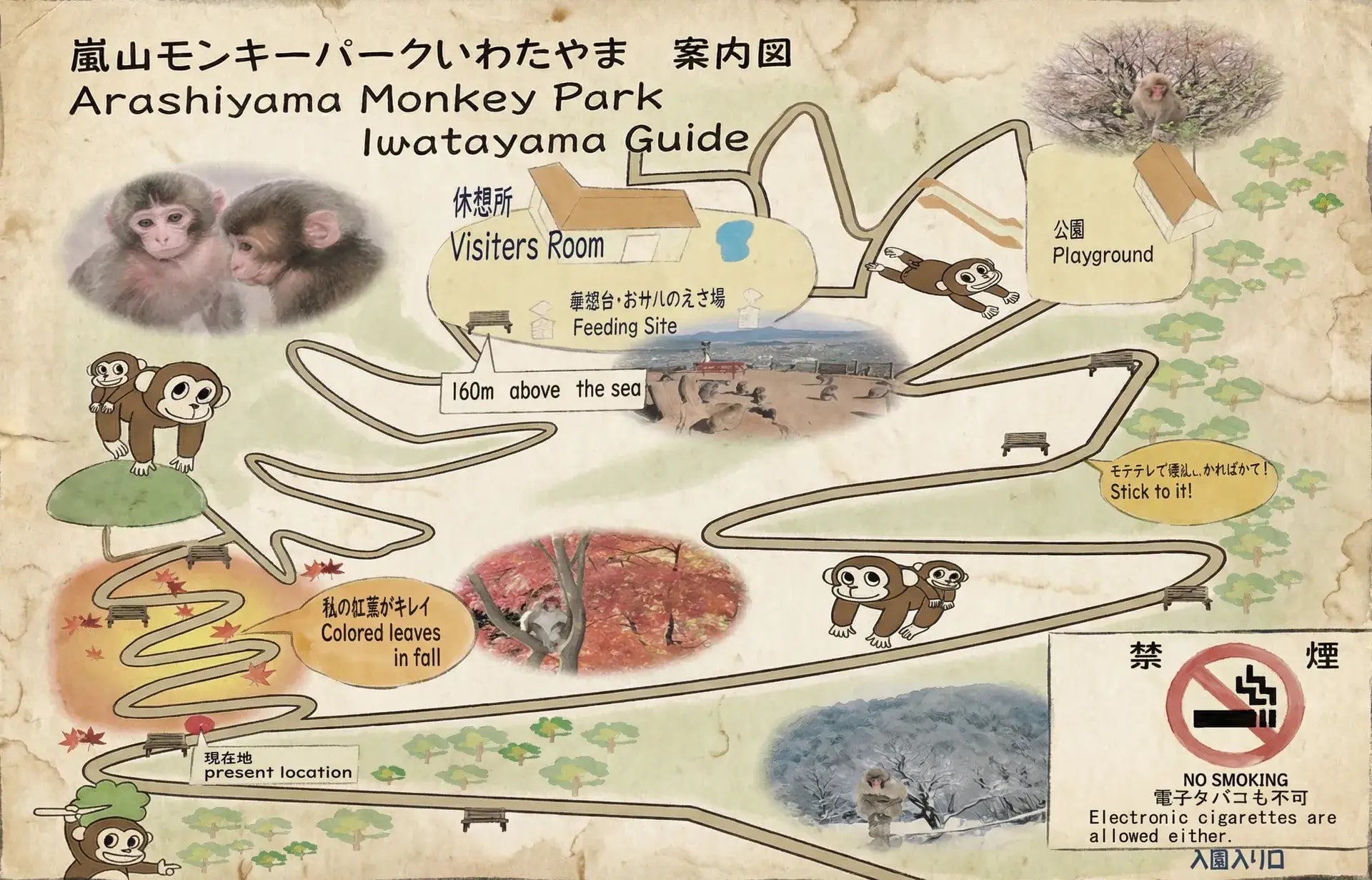 mapa Iwatayama Monkey Park