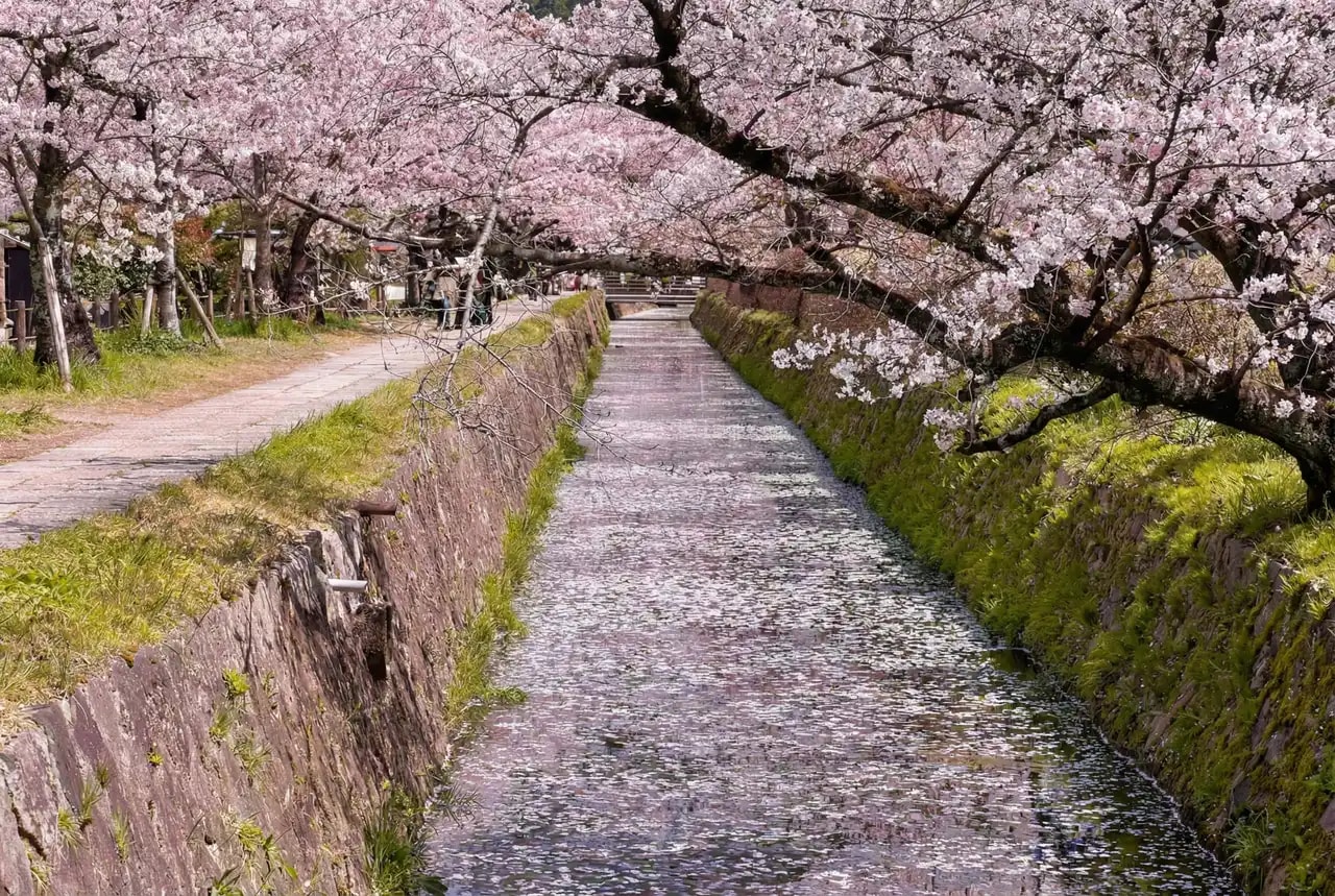 Paseo del Filósofo kioto